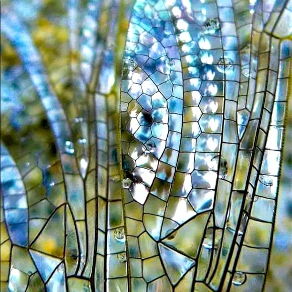 Meet your Posher, Crystal - Picture 2 of 3